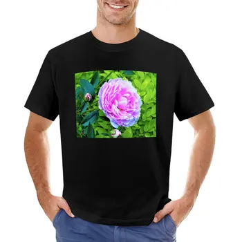 Футболка с розовым пионом и Золотой бирючиной, садовая изгородь, белые футболки для мальчиков, черная футболка, быстросохнущая футболка, мужская футболка