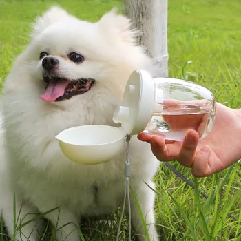 Новые товары для домашних животных Уличная чашка для воды для кошек и собак, сопроводительная чашка для маленьких собак, складная портативная маленькая грибная чашка для воды
